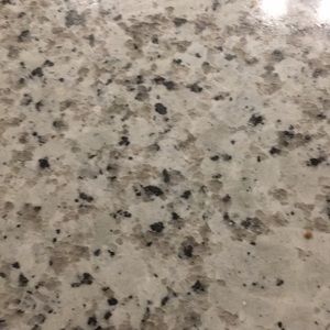 Meet your Posher, Wayne